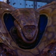 Image for article titled The 10 Most Unbelievable Alien Races in Science Fiction